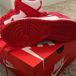 BRAND NEW Nike Dunks High Top